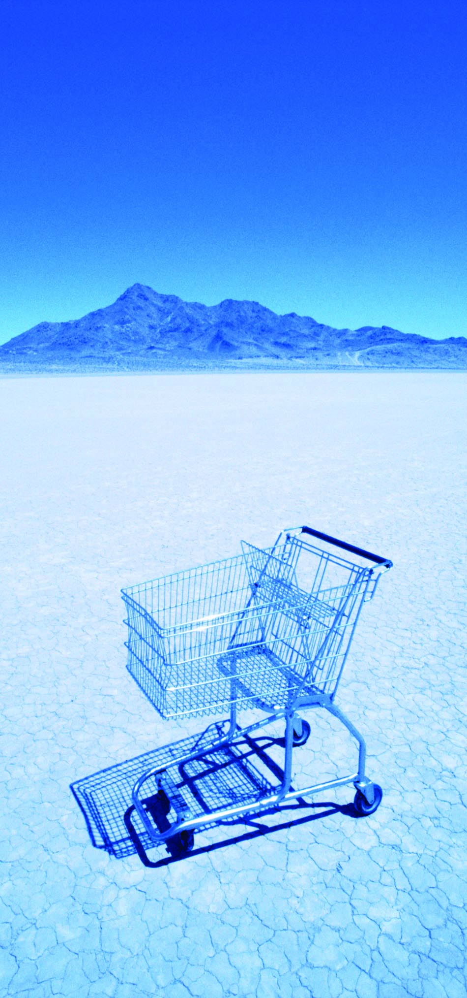 Image for aesthetic effect only - Basket-copy