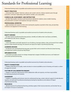 Image for aesthetic effect only - New-look-new-standards-as-the-learning-landscape-shifts-so-do-we-b-234x300